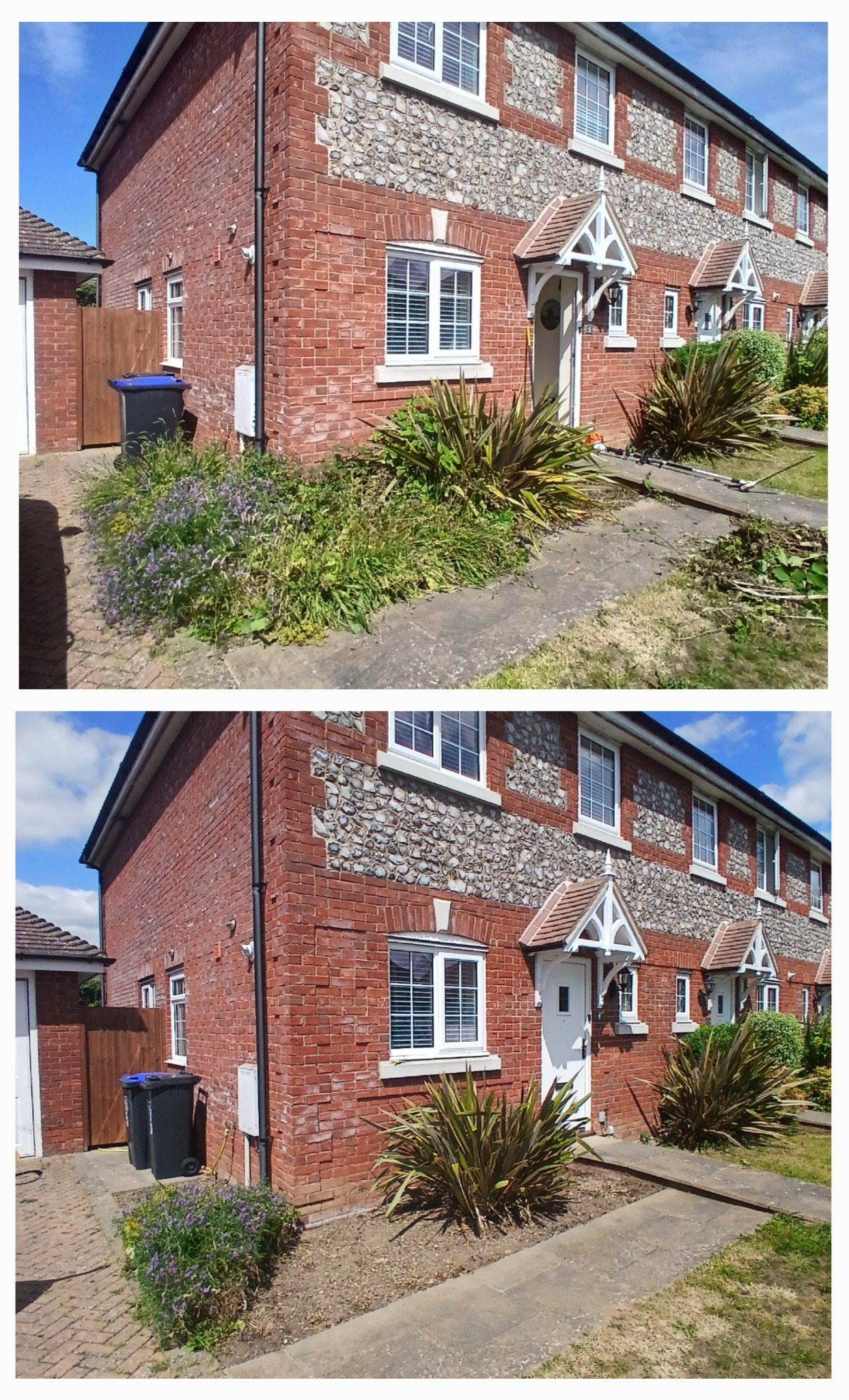 Worthing Gardening Service project photo 2 in Worthing